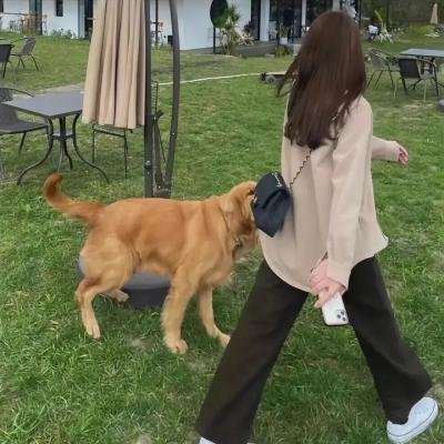 奥利维娅·科尔曼